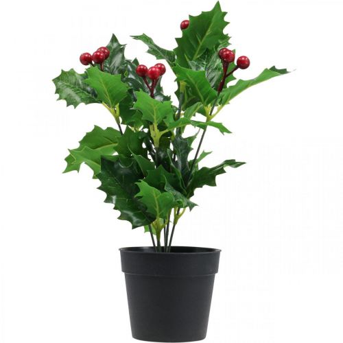 Floristik24 Holly in a pot artificial plants Ilex artificial 26cm