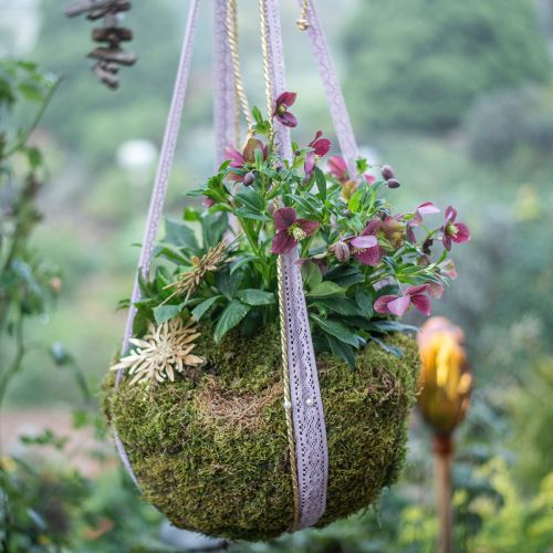 Product Indian Moss Forest Moss Green Natural 2kg