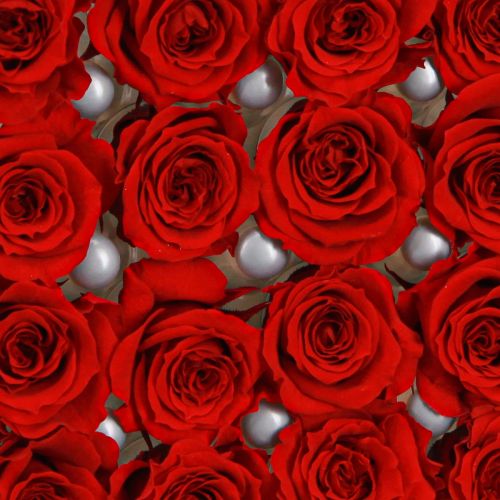 Product Mini Forever Roses Preserved Flowers Red Ø3cm 16pcs