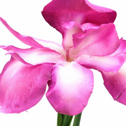 Product Iris artificial pink 78cm