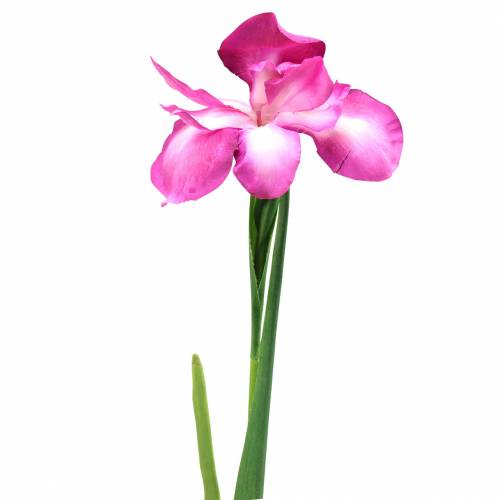 Floristik24 Iris artificial pink 78cm