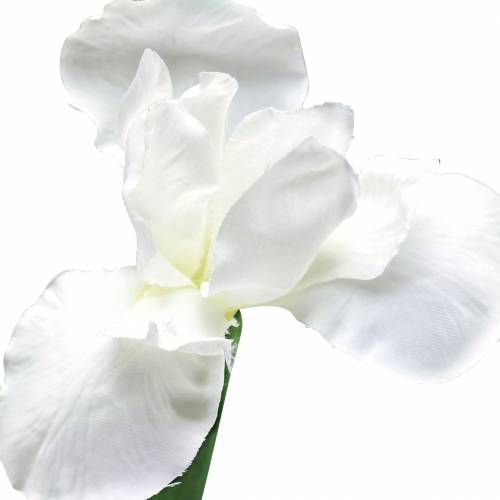 Floristik24 Iris artificial white 78cm