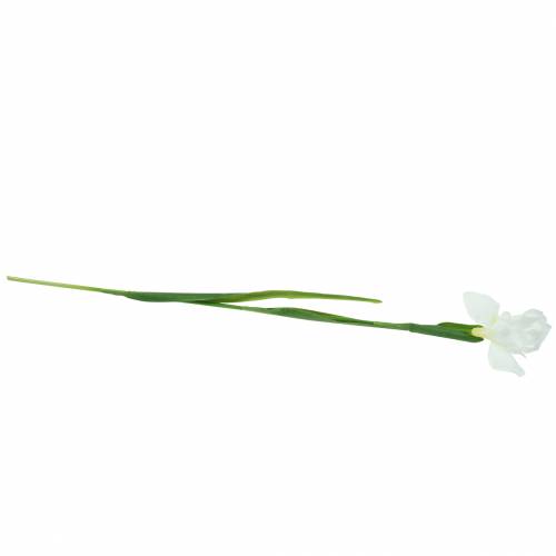 Floristik24 Iris artificial white 78cm