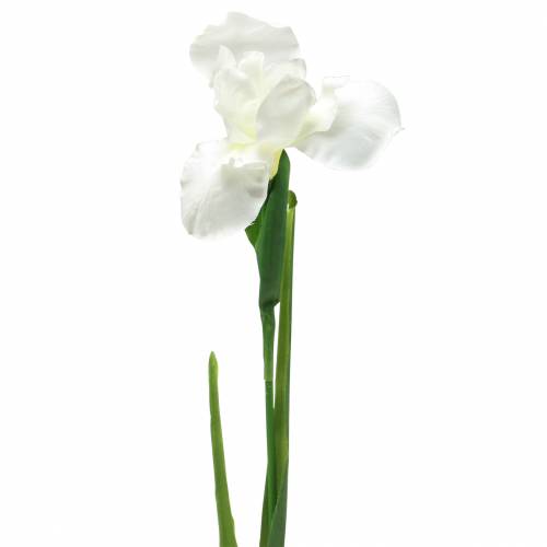 Floristik24 Iris artificial white 78cm