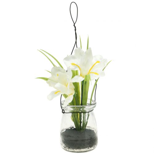 Floristik24 Iris white in a glass for hanging H21.5cm