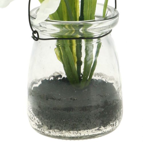 Floristik24 Iris white in a glass for hanging H21.5cm