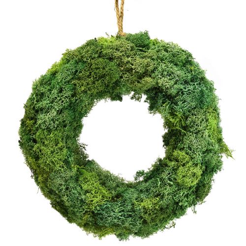Floristik24 Iceland moss wreath wall decoration natural wreath green preserved Ø34cm