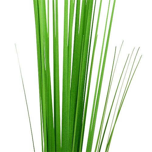 Floristik24 Isolepsis grass light green 85cm 1p