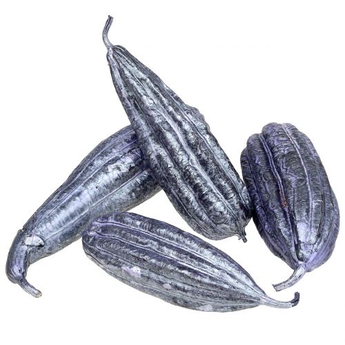 Luffa Fruit Violet 14cm – 20cm 10 pcs