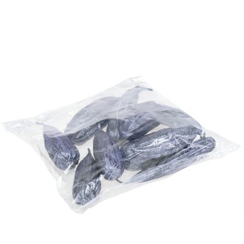Floristik24 Luffa Fruit Violet 14cm – 20cm 10 pcs