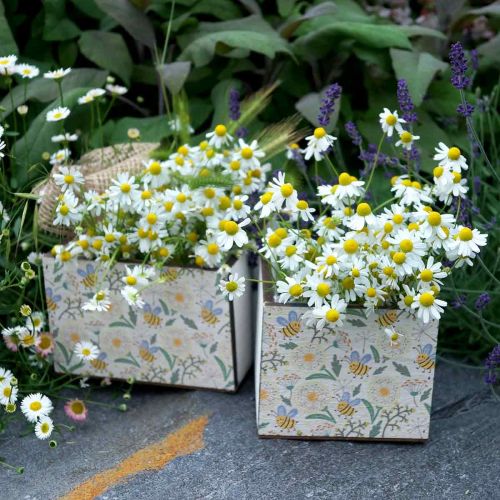 Floristik24 Boxes for planting, wooden decoration, decorative box with bees, spring decoration, shabby chic L15/12cm H10cm set of 2
