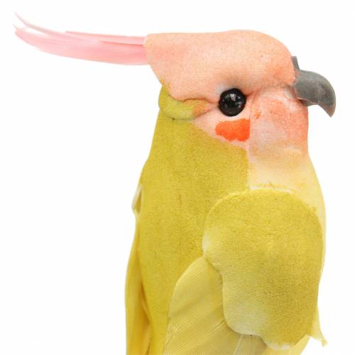Floristik24 Decorative cockatoo with metal wire green yellow H13cm 4pcs