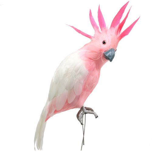 Floristik24 Decorative cockatoo pink 32cm