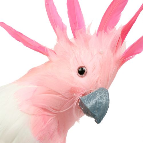 Floristik24 Decorative cockatoo pink 32cm