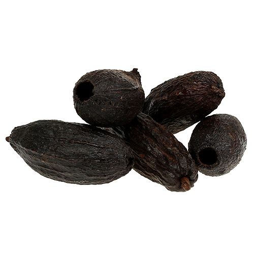 Cocoa fruit natural 10-18cm 15 pcs