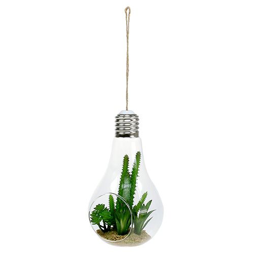 Cacti in a glass to hang 21cm