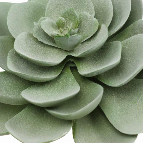Floristik24 Artificial succulent deco artificial plants green 11×8.5cm 3pcs