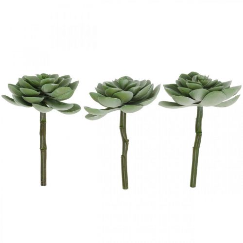 Floristik24 Artificial succulent deco artificial plants green 11×8.5cm 3pcs