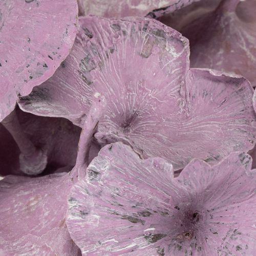 Product Kalix Mushroom Purple, White Washed 100 pcs