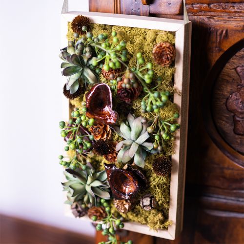 Product Kalix Mushroom Natural Varnished Dried Mushrooms Decoration Large 50 pcs