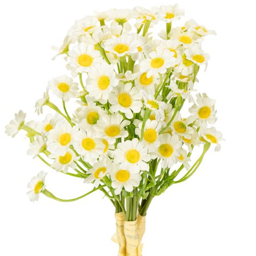 Artificial chamomile as a bouquet of flowers for natural and easy-care decoration, 28cm, 3 pieces