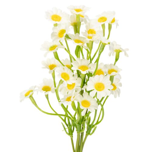 Product Artificial chamomile as a bouquet of flowers for natural and easy-care decoration, 28cm, 3 pieces