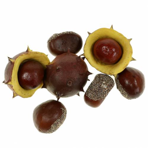 Floristik24 Decorative chestnut assortment 5.5cm 24 pcs