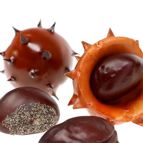 Floristik24 Chestnuts in the net 9pcs
