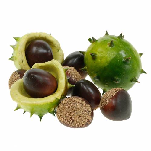 Deco chestnuts in the net green 24pcs