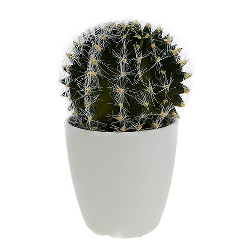 Cactus in a pot Green 14cm
