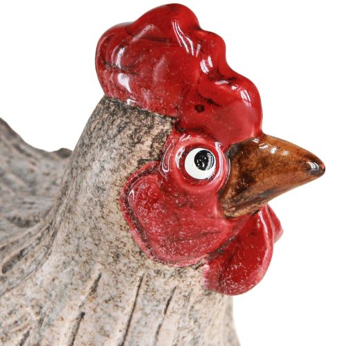 Floristik24 Ceramic Decoration Chicken Funny Easter Decoration Figure 16×12×12cm