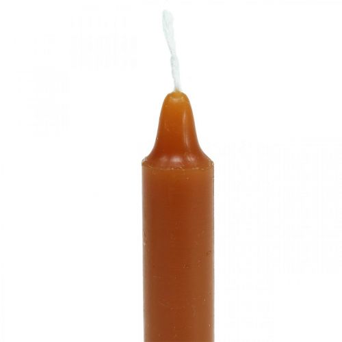 Floristik24 Tree candles pyramid candles Ø13×H105mm brown, golden 10pcs