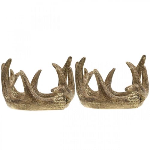 Floristik24 Tea light holder candlestick antler gold H7cm Ø10cm 2pcs