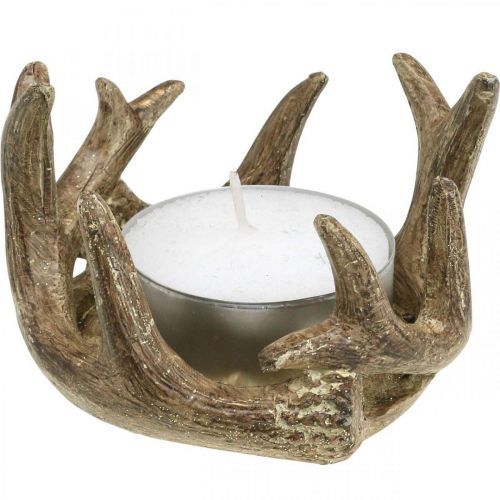 Floristik24 Tea light holder candlestick antler gold H7cm Ø10cm 2pcs