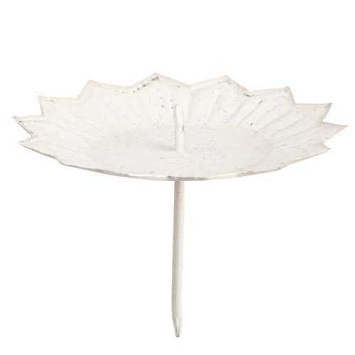 Floristik24 Candle holder for sticking 11x8cm cream 4pcs