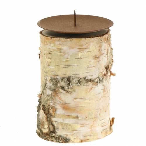 Floristik24 Candlestick birch Ø8cm H14cm