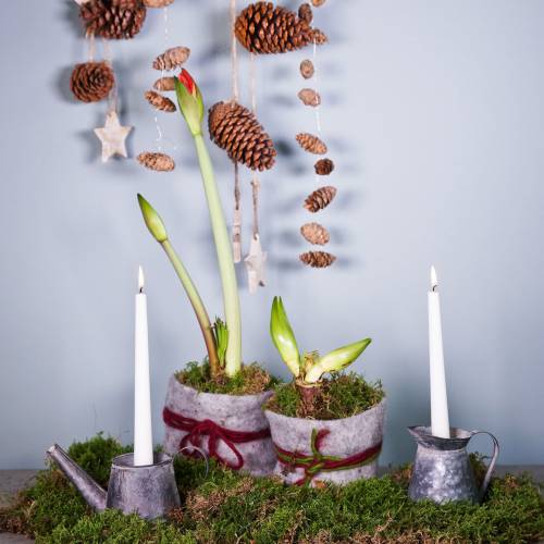 Floristik24 Candlestick jug antique look H12/9cm 2pcs