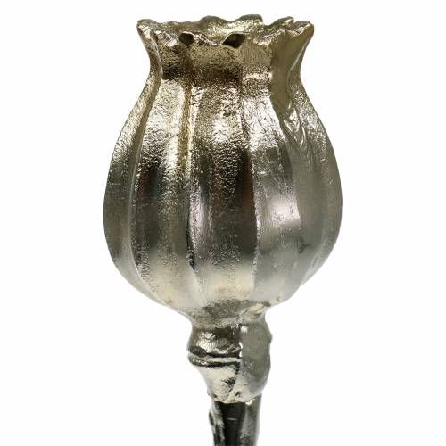 Floristik24 Candlestick poppy blossom champagne H49cm