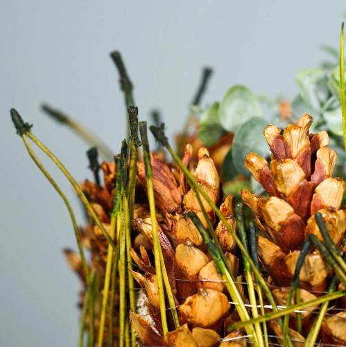 Floristik24 Pine needles green 400g