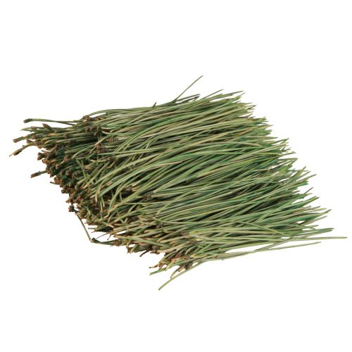 Floristik24 Pine Needles Green Craft Supplies Christmas 50g 3pcs