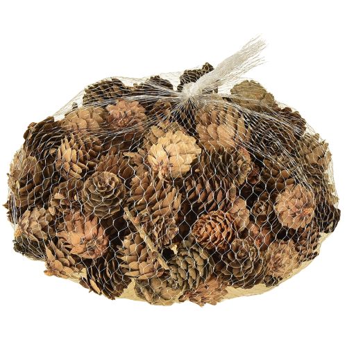 Pine cones natural small cones decoration in net 2.5-3.5cm 300g | Floristik24.ie