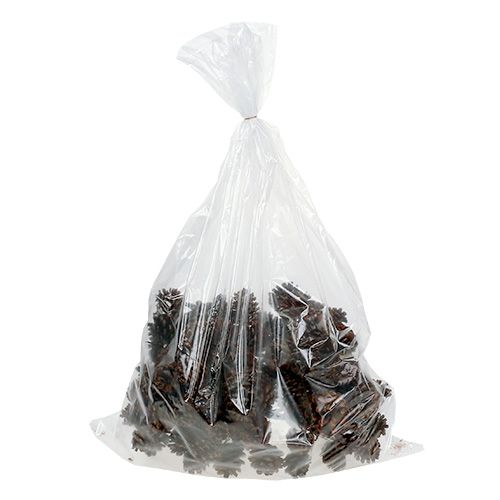 Product Pine cones waxed wired 100 pcs