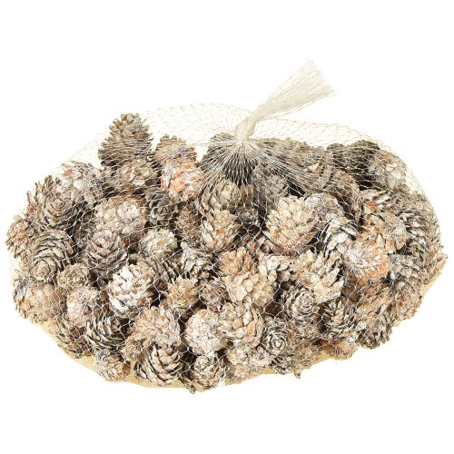 Whitened pine cones, small cones decoration in a net, 2.5-3.5 cm, 500 g | Floristik24.ie