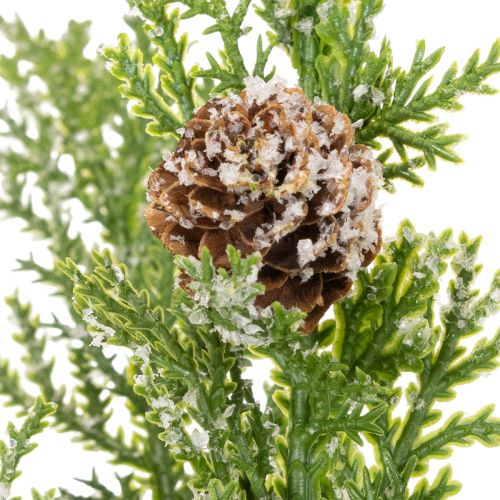 Artificial pine branch with cones, snow-covered, 28cm, 6 pieces | Floristik24.ie