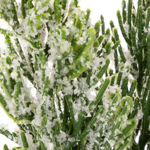 Artificially snow-covered pine branch for floral arrangements and Advent decorations, 40cm, 3 pieces | Floristik24.ie