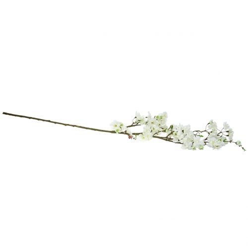 Floristik24 Cherry blossom branch white 105cm