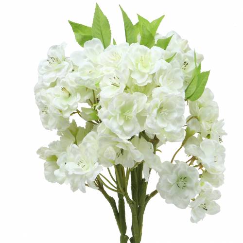 Floristik24 Cherry branch cream 45cm 3pcs for decoration