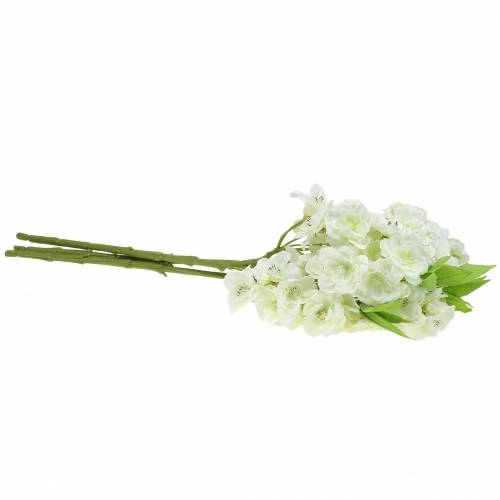 Floristik24 Cherry branch cream 45cm 3pcs for decoration