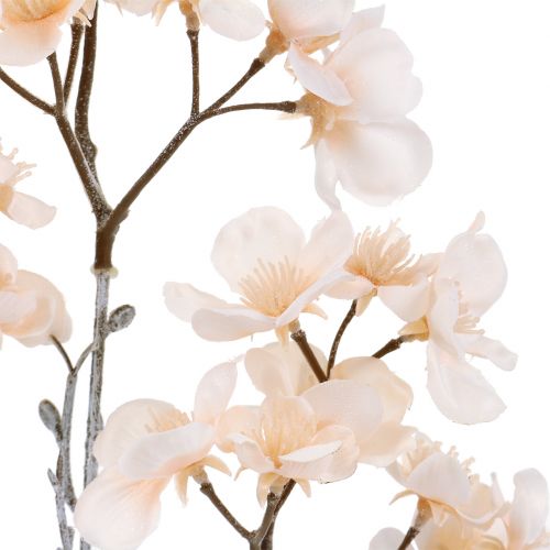 Floristik24 Cherry blossom branch iced cream 51cm