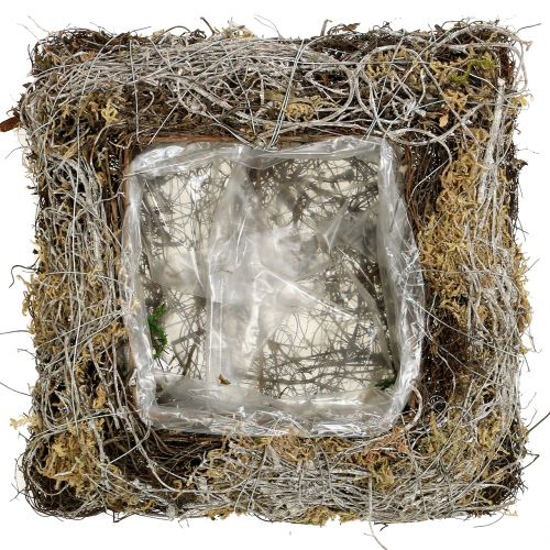 Cushion moss, vine 25cm x25cm